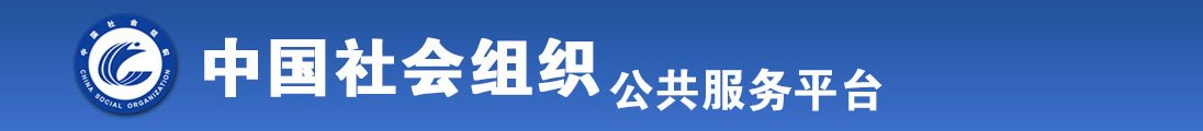 大鸡巴插逼视频看看全国社会组织信息查询